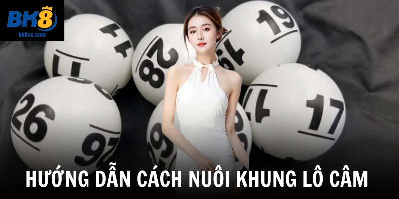 Hướng dẫn cách nuôi khung lô câm 